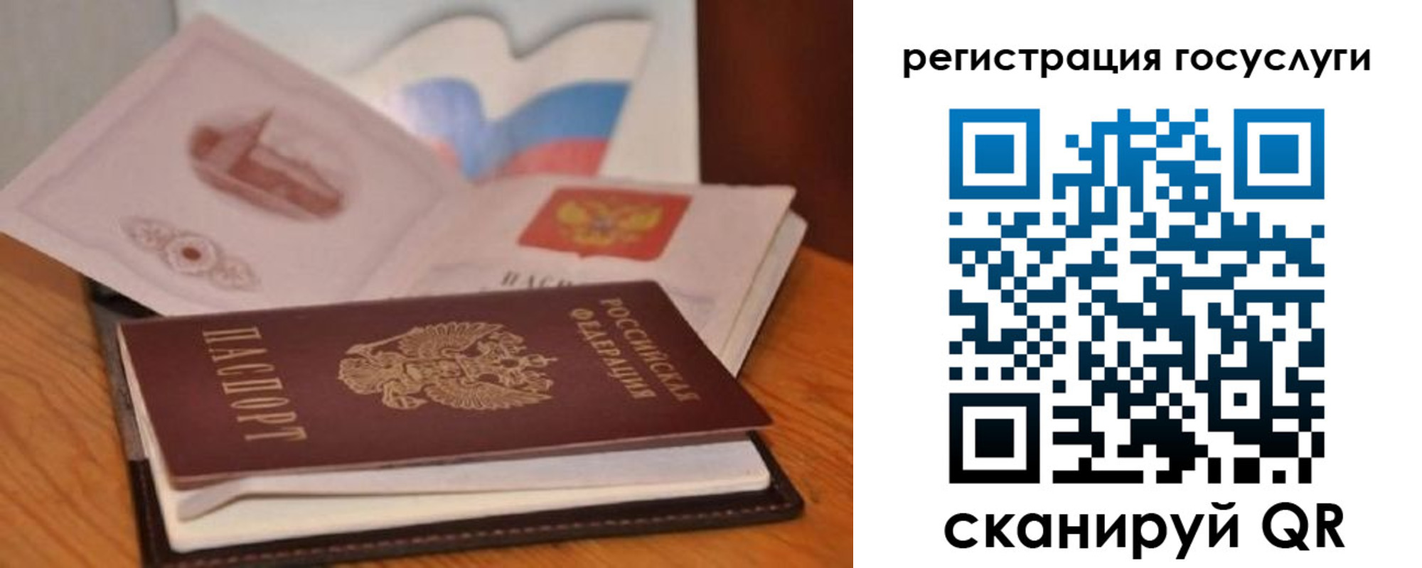 прописка законно в Павловске